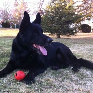 Meet your Posher, Anna